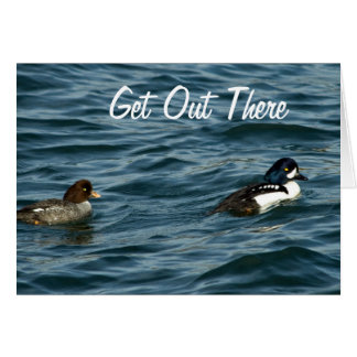 Le Goldeneye se penche là