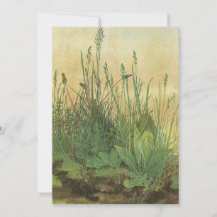 Le Grand (Grand) morceau de Turf par Albrecht Dure