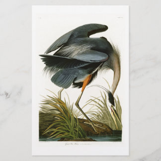 Le Grand Héron Bleu John Audubon Oiseaux d'Amériqu