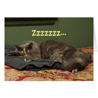 Le grand jour de Mlle Kitty