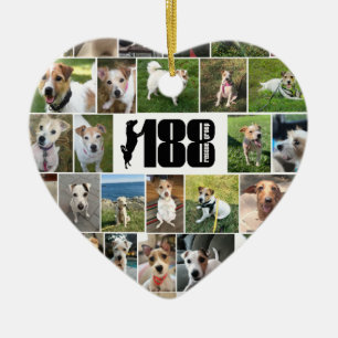 Le groupe de 188 Secours Ornement cardiaque recto-