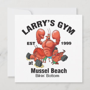 Le gym de Larry à Mussel Beach