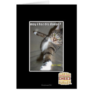 le haz DIS d'I peut-il danser ?