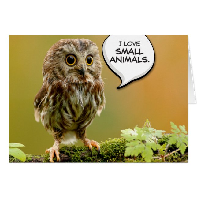 "Le hibou dur de bébé" nous a laissés faire le (Devant horizontal)