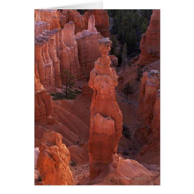 Le hoodoo Thor's Hammer sur Navajo Trail (Devant)