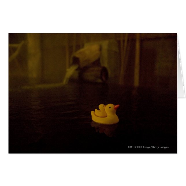 Le Japon (Devant horizontal)