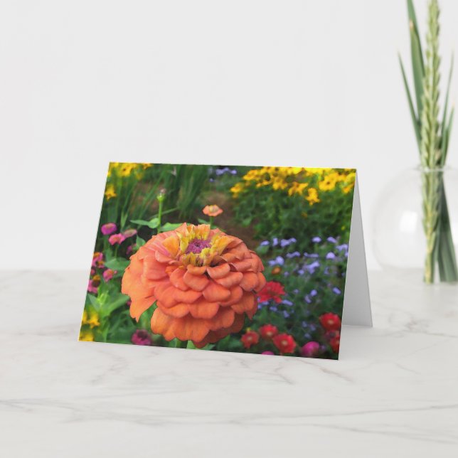 Le jardin d'agrément colore la carte (Devant)