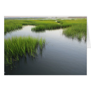 Le jardin de Beaufort