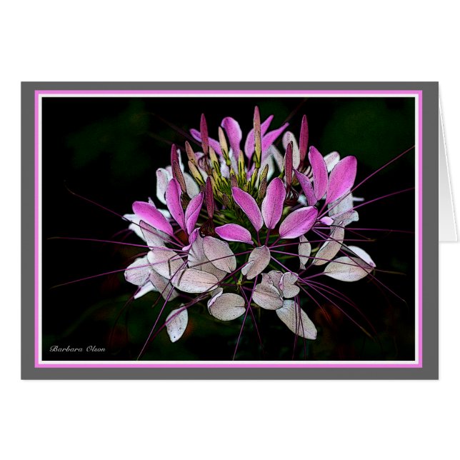 Le jardin de Lulu (Devant horizontal)