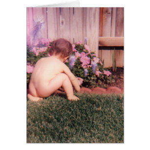 Le jardin de Scotty