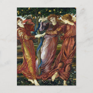 Le Jardin des Hespérides, Carte postale de Burne-J