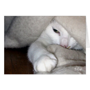 Le jeu couvrant, S Cyr