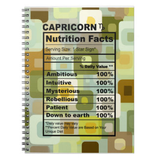 🐐 Le Journal de l'Architecte : Édition Capricorne