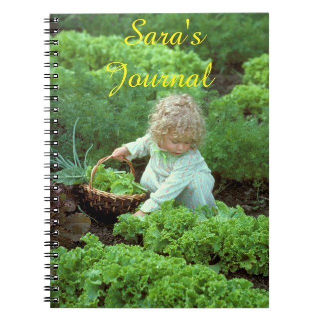 Le journal de Sara (Devant)