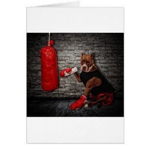Le kit de boxe