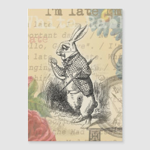 Le lapin blanc Alice au pays des merveilles