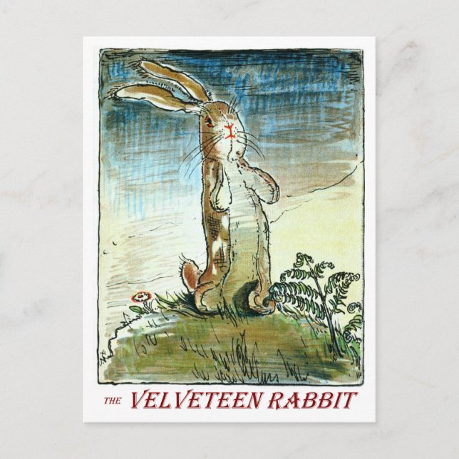 Le Lapin de Velours - Carte postale (Devant)