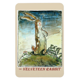 Le lapin Velveteen - Magnet