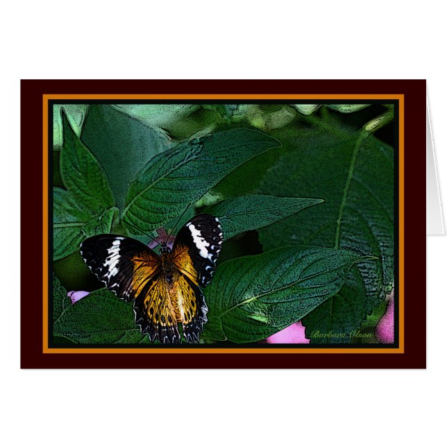 Le léopard lacewing (Cethosia cyane) : Papillon (Devant horizontal)