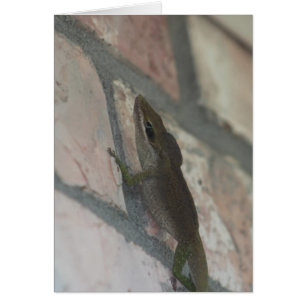 Le Lézard Sombre