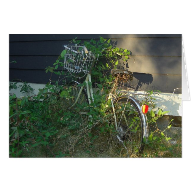 le lierre a couvert le vélo (Devant horizontal)