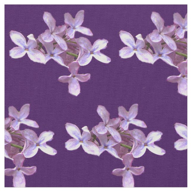 Le lilas fleurit le tissu (Fermer)