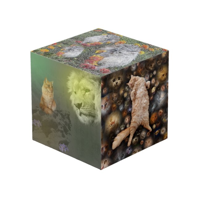 Le Lion Et Le Chat, Plus Amis, Cube Photo (Angle devant)