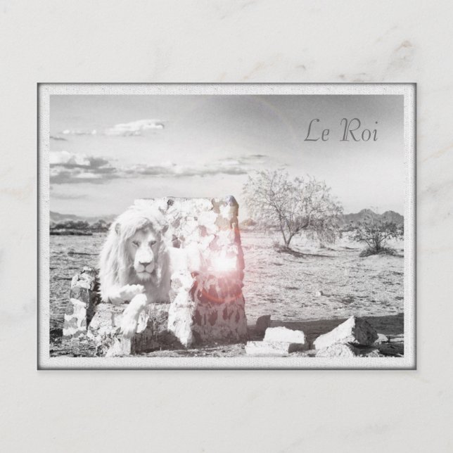 Le Lion Roi carte postale (Devant)
