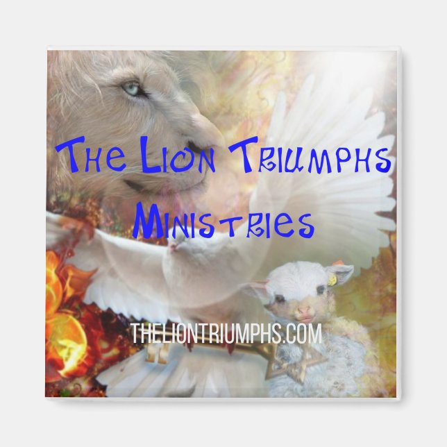 Le lion triomphe sur les Magnets (Devant)