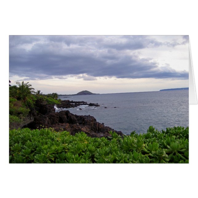 Le littoral de la plage (Devant horizontal)