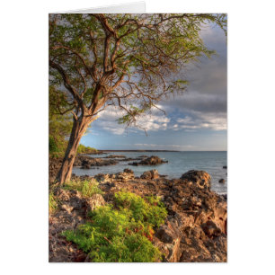Le littoral de Maui