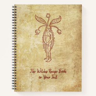 Le livre de recettes de sorcières avec Mandrake