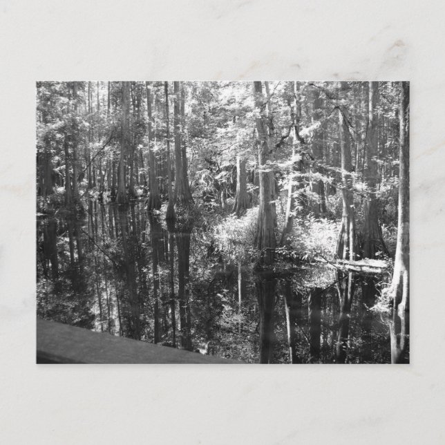 Le long de la carte postale bancaire (Devant)