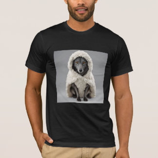 Le loup en T-shirt vêtu de mouton