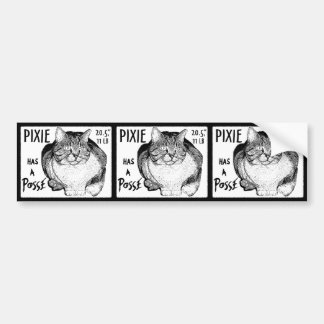 Le lutin a un autocollant de bande réglé