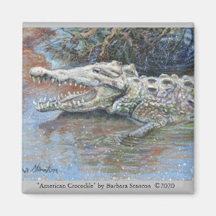 Le Magnet du "crocodile américain"