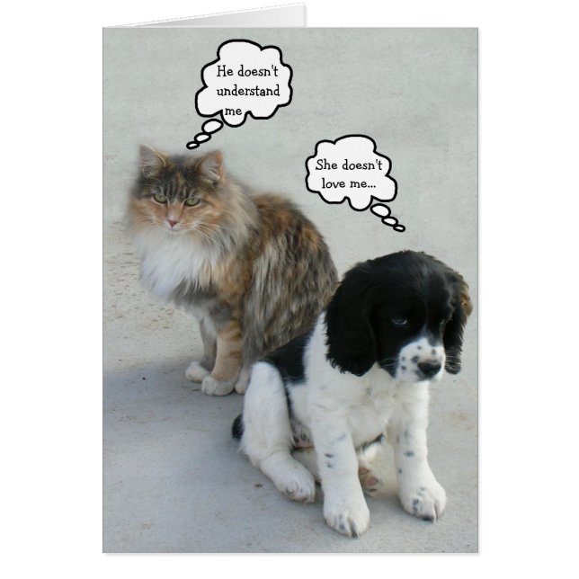 Le malentendu éternel... (Devant)