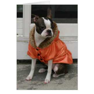 Le manteau d'hiver de Martha