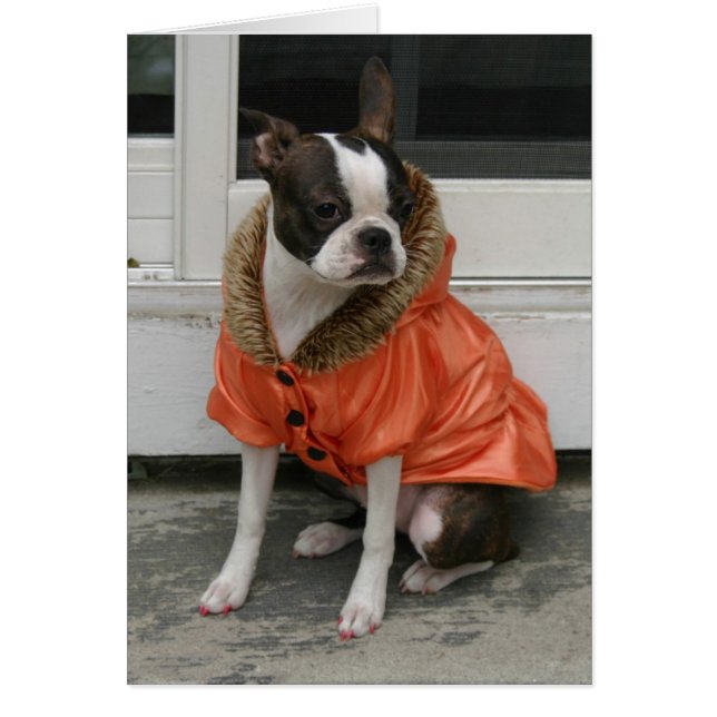 Le manteau d'hiver de Martha (Devant)