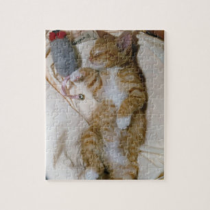 Le meilleur puzzle de chaton : Magie de Butchie