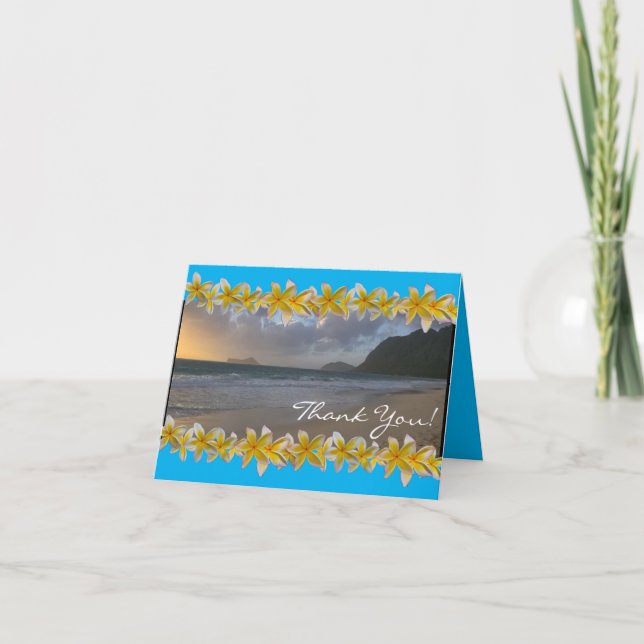 Le Merci de plage de Waimanalo (Devant)