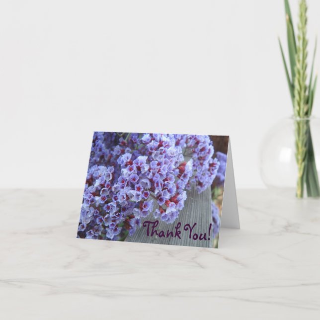 Le Merci de pourpre Itty-Bitty (Devant)