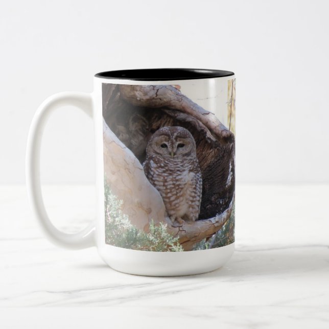 Le Mexicain a repéré la tasse de hibou, (Gauche)