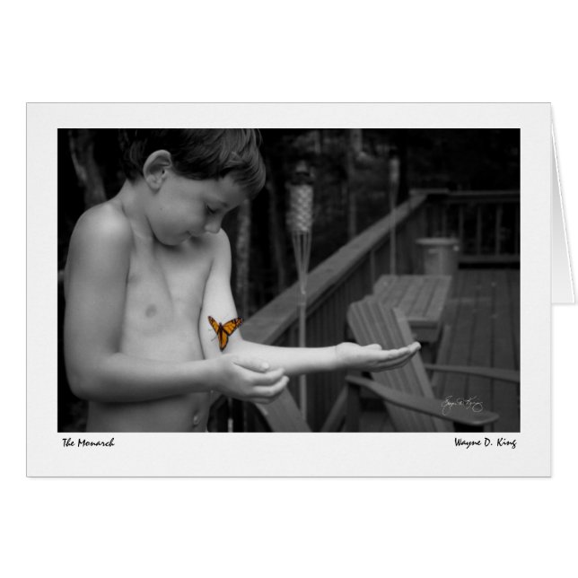 Le monarque (Devant horizontal)