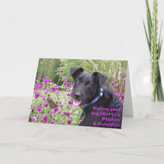 Le monarque souhaite la carte (Devant)