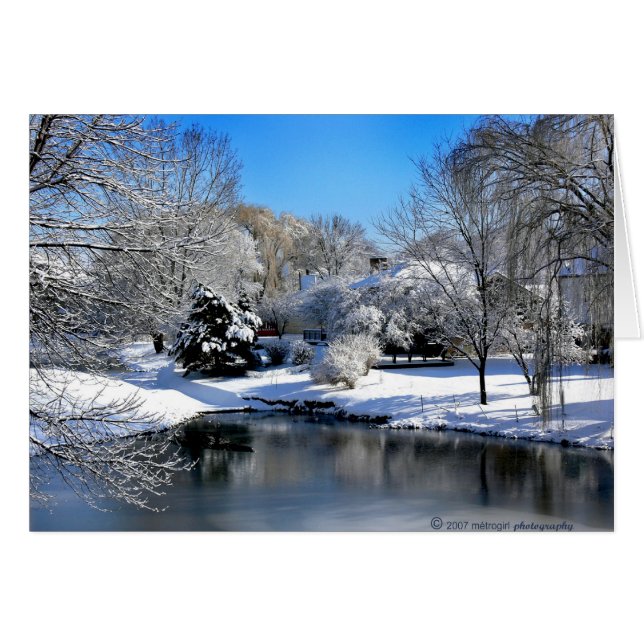 Le monde blanc parle sans son. (Devant horizontal)