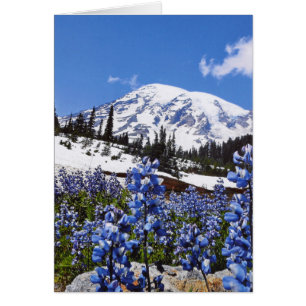 Le mont Rainier au point de paradis