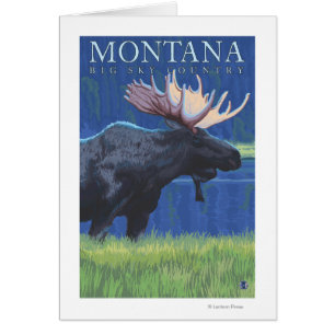 Le Montana -- Grand ciel CountryMoose dans le