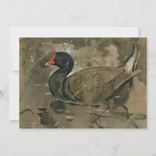 Le Moorhen   Joseph Crawhall