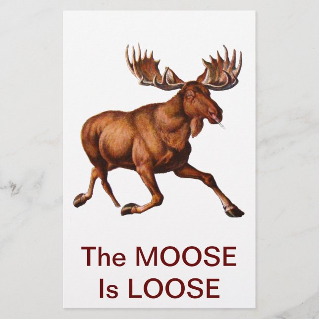 LE MOOSE EST LOIN (Devant)